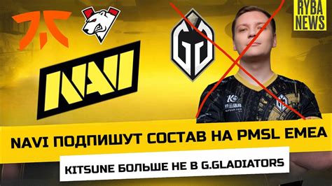 Navi Pmsl Kitsune Gg Vp Fnatic G