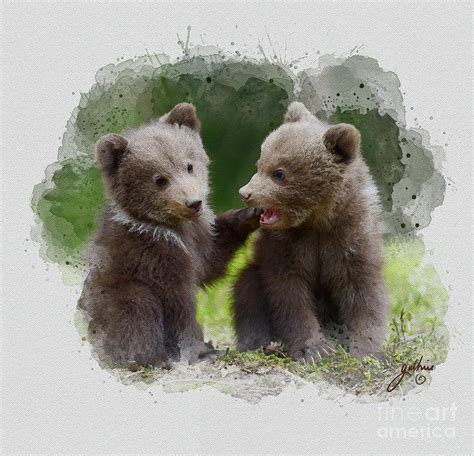 Two bear cubs Painting by John Guthrie | Pixels