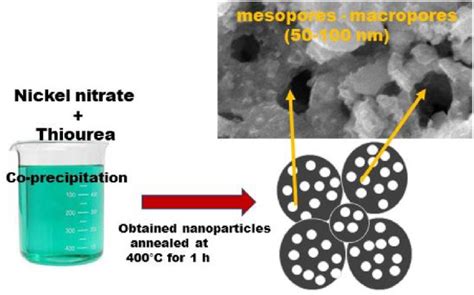 Schematic Representation For The Synthesis Of D Porous Nis Cus