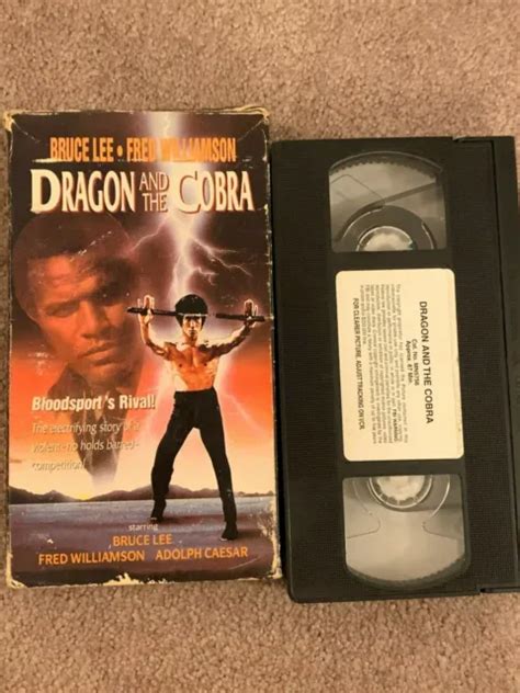 Dragon And The Cobra Vhs Bruce Lee Fred Williamson Kung Fu Martial Arts