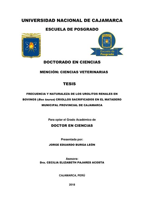 PDF UNIVERSIDAD NACIONAL DE CAJAMARCA Para optar el Grado Académico