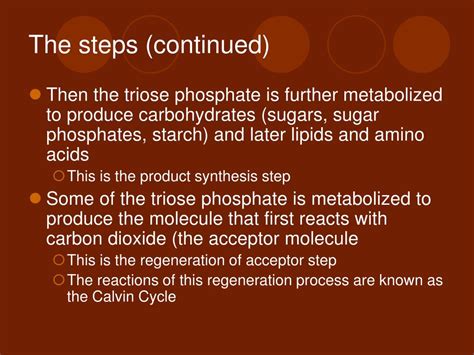 Ppt Light Independent Reactions Powerpoint Presentation Free Download Id 5780318