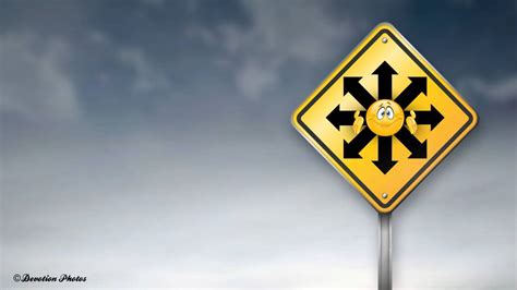 direction design  firedragon  deviantart