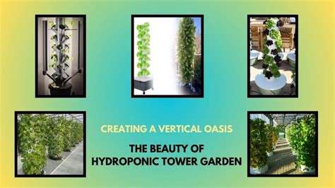 Creating A Vertical Oasis The Beauty Of Hydroponic Tower Garden