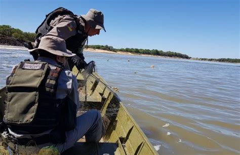 Confira O Comunicado Da Patrulha Ambiental Da Brigada Militar De Rio