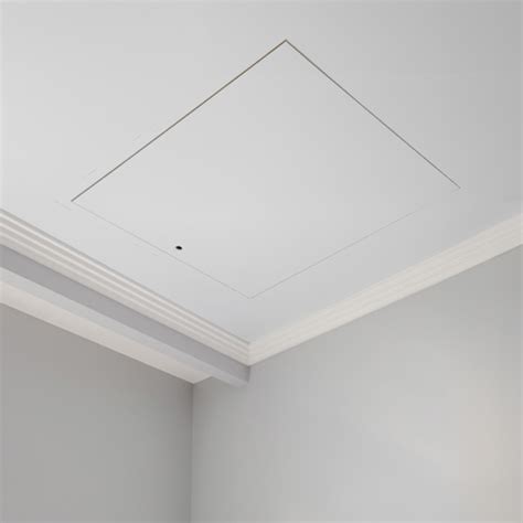 purchasing  loft hatch panel