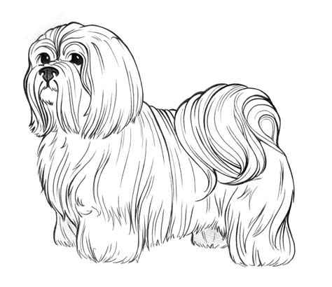 shih tzu clip art black and white - Yahoo Image Search Results Dog Coloring Book, Puppy Coloring ...