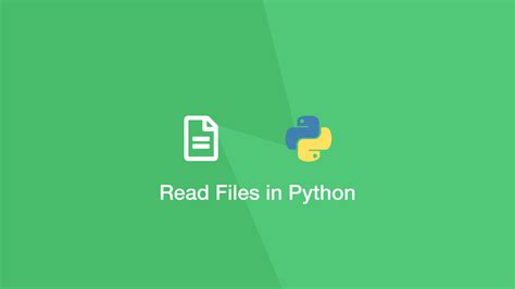 How To Read A File Line By Line In Python SkillSugar