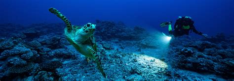 The Watch Industry’s Call-To-Action For Ocean Conservation