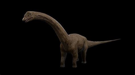 3D model Sauropoda - Long Neck Dinosaur VR / AR / low-poly | CGTrader