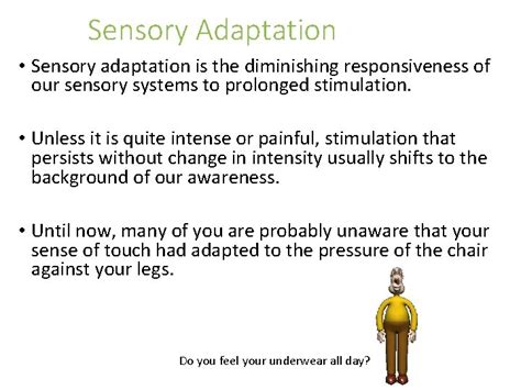 Why Is Sensory Adaptation Important