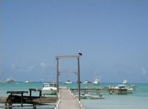 Anegada Anchorage And Pelican Postcard Anegada Anchorage And Pelican