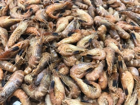 Crevettes Grises Les 100 G Au Petit Charlot