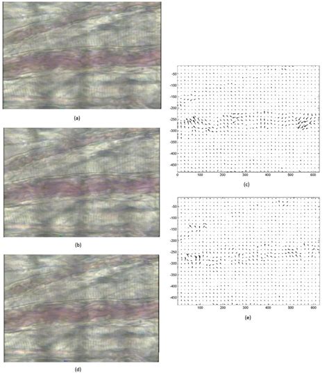 Three Successive Sample Frames Left And Their Corresponding Optical