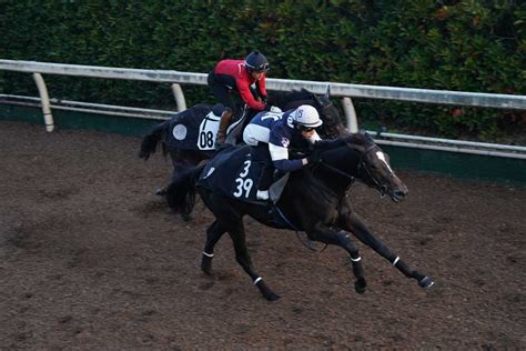 【今日の注目新馬】クイーンズウォーク重賞出走馬をあおる動き 母と半兄はgⅠ馬／京都5r｜競馬ニュース｜競馬予想のウマニティ