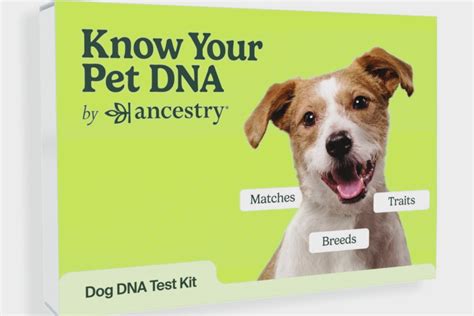 Learn your pet's family history with Dog DNA tests! — Animal Friendly Life