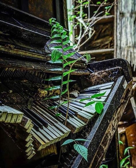 Pin On History Fun Facts In Abandoned Places Abandoned