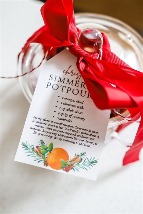 Diy Christmas Simmer Pot T Idea Free Download Fresh Mommy Blog