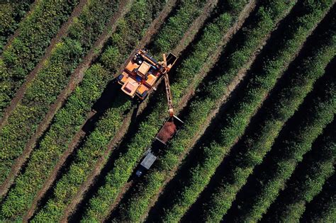 Dos Solos Do Pa S T M Potencial Natural Para A Agricultura Informa