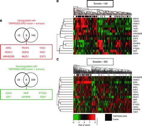 Validated Genes Differentially Expressed In Tmprss Erg Fusion Positive