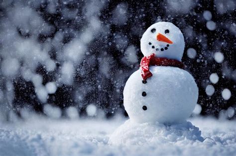 Bonhomme De Neige Souriant En Hiver Portant Un Chapeau Et Une Charpe