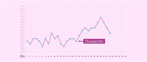 Qu Es El M Todo De La Temperatura Basal Corporal Y C Mo Se Realiza