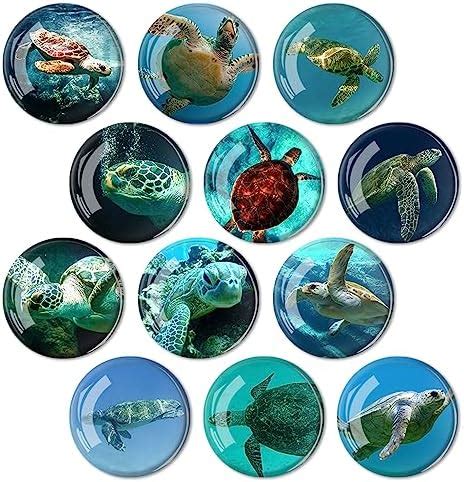 Amazon Cosylove 12pcs Refrigerator Magnets Crystal Glass Sea