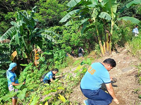 Lgu Nagsagawa Ng Tree Planting Activity Sa Olongapo City