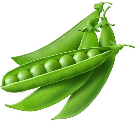 clip art green peas 20 free Cliparts | Download images on Clipground 2024