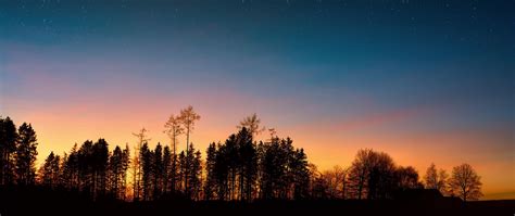 Download Wallpaper 2560x1080 Starry Sky Trees Sunset Night Forest Dual Wide 1080p Hd Background