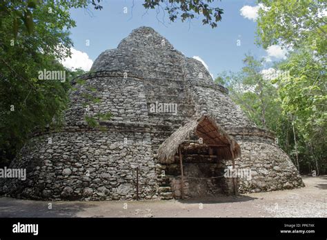 archaeological site of coba in Mexico Stock Photo - Alamy