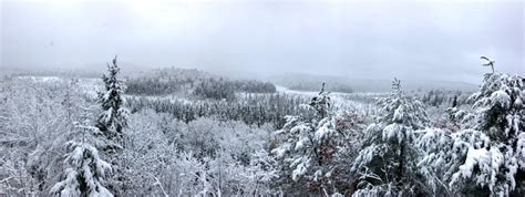 Algonquin Park turned into winter wonderland by snow - Barrie ...