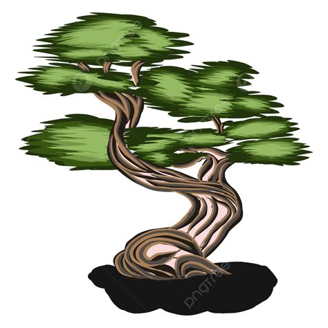 Ilustrasi Bonsai Pohon Beringin Yang Keren Vektor Pohon Beringin Daun Daun Pohon Bonsai Png