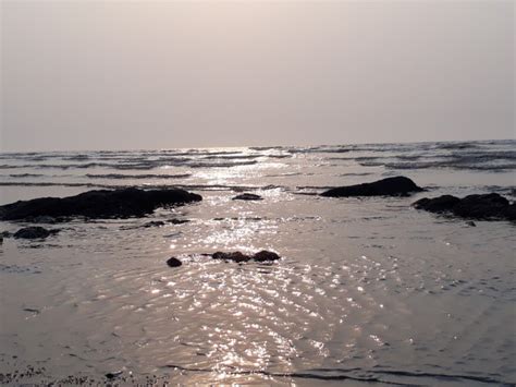 Top thing to do in Mahim Beach (2024) | All about Mahim Beach, Palghar ...