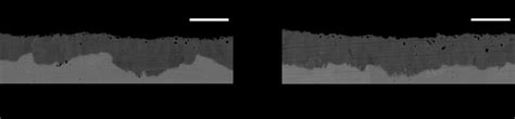 4 Bse Micrographs Showing Comparison Of The Growth Of The Kirkendall