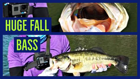 Big Onecottage Grove Reservoir Fall Bass Fishing 10 6 19 Youtube