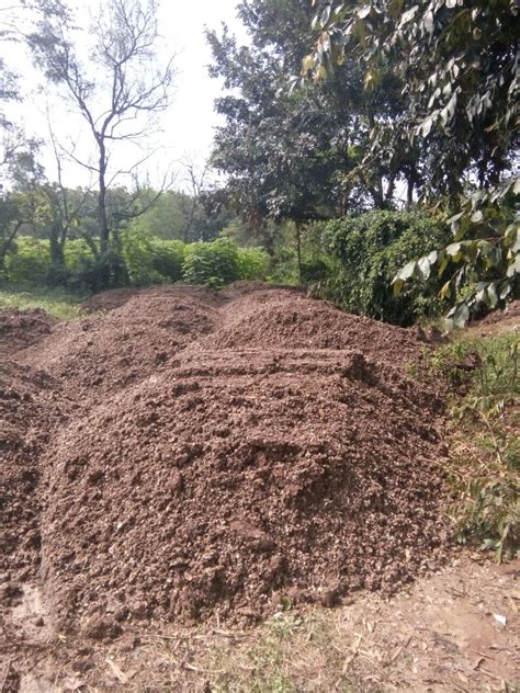 Jual Bokashi Kotoran Ayam Petelur Tani Dan Ternak Organik