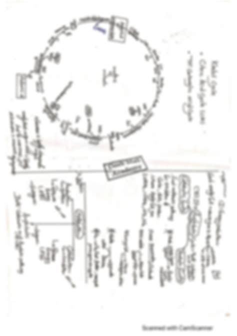 Solution Biochemistry Basics Summary Carbohydrate Studypool