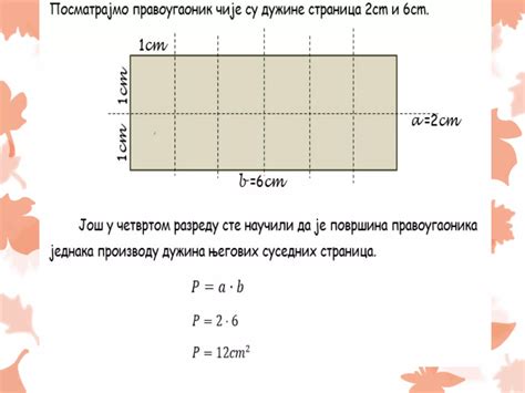 33 Povrsina Kvadrata I Pravougaonika Utvrdjivanje PPT