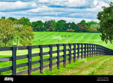 Horse Farm in Kentucky Stock Photo - Alamy