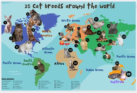 World Map Of Cat Breeds Around The World Different Cat Breeds In The