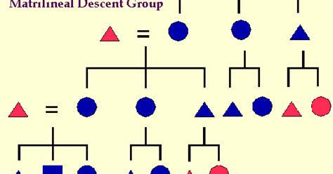 Human Mitochondrial Genetics: Matrilineal descent