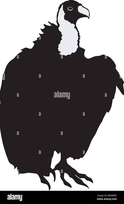 Silhouette Of Vulture Stock Vector Image Art Alamy