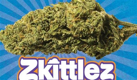 Zkittlez Cannabis Strain AKA Skittles - Information and Review - ILGM