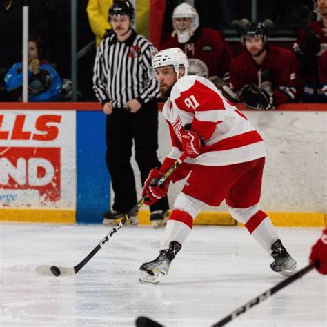 Brandon Hynes - Stats, Contract, Salary & More