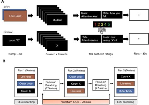 Transcranial Direct Current Stimulation Over Medial Prefrontal Cortex