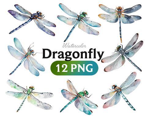 Dragonfly Watercolor PNG Watercolor Dragonfly Clipart Dragonfly Art