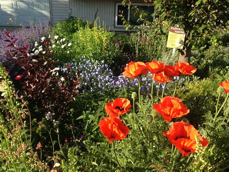 A Wyoming Garden - Fine Gardening