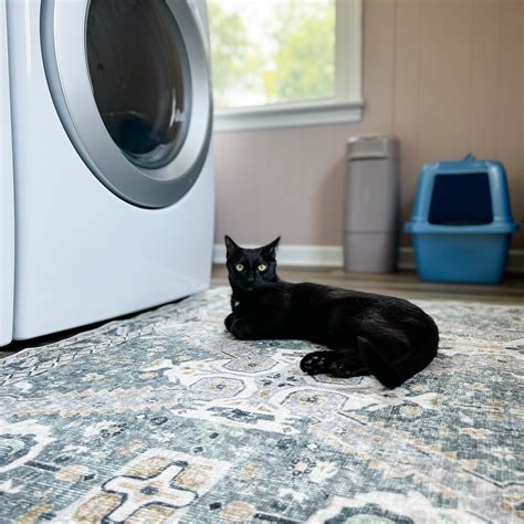 Tumble | Spillproof, Washable & Pet Friendly Rugs