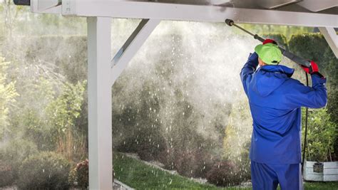 Soft Wash Roof Cleaning What You Need To Know Zenzero Kitchen